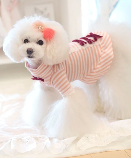 XS / S /Mサイズ【 AngelicMoon Chambre】『Mariniere bebe（マリニエールべべ）PINK』