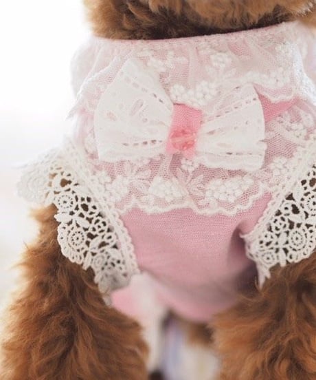 ＊Sサイズラスト1枚＊【 Picnic of Marie Antoinette】Robe en jean （ローブアンジーン）Rose（ピンク）Sサイズ