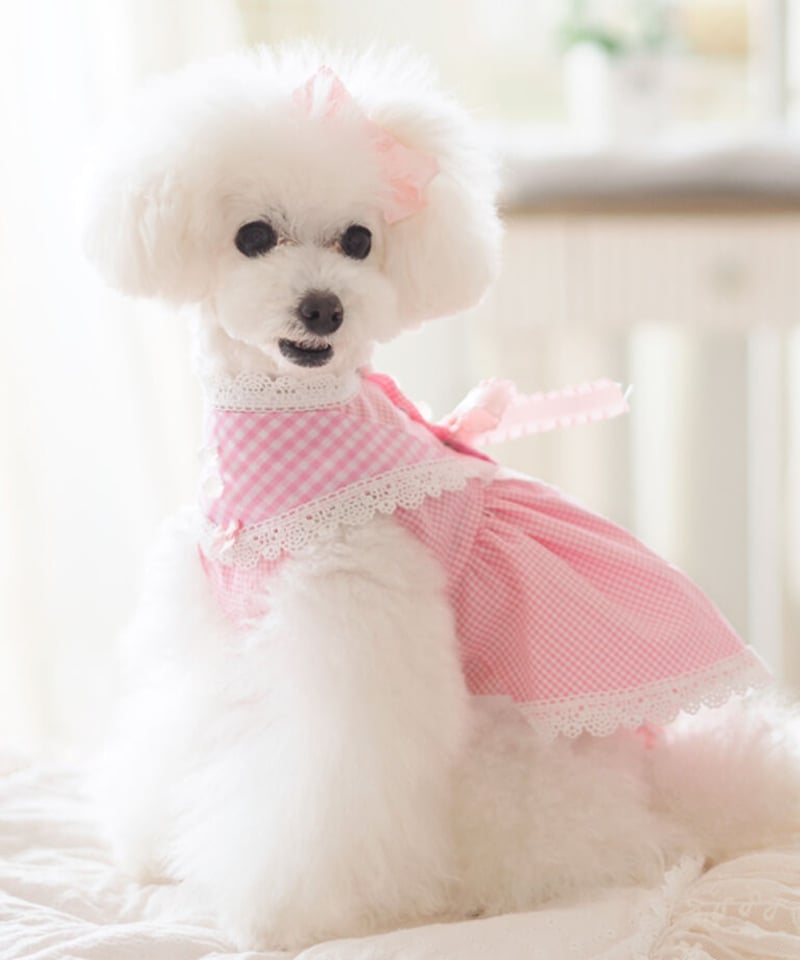 Picnic of Marie Antoinette】Sweet Vichy Dress (