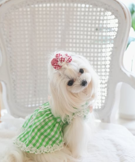【Vichy】Robe Vichy Verte（ローブヴィシヴェール）Sサイズ