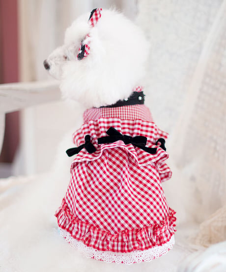 【Vichy】Vichy Rouge Dress （ヴィシルージュドレス）XSサイズ