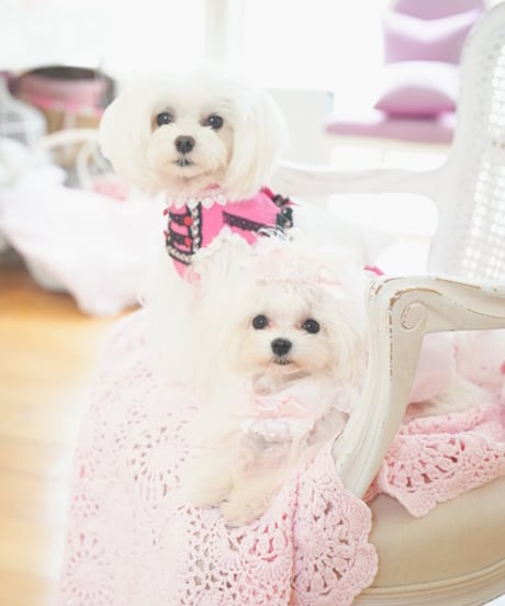 【Sweetie Heidi】Robe Rose Tablier(ローブローズタブリエ)　XS/Sサイズ