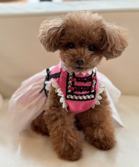 【Sweetie Heidi】Robe Rose Tablier(ローブローズタブリエ)　XS/Sサイズ