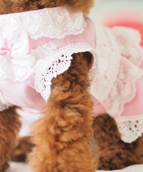 ＊Sサイズラスト1枚＊【 Picnic of Marie Antoinette】Robe en jean （ローブアンジーン）Rose（ピンク）Sサイズ