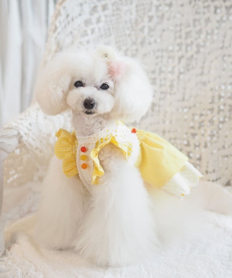 ＊ラスト1枚XSサイズ＊【Vichy】Lemon Drop Dress（レモンドロップドレス）