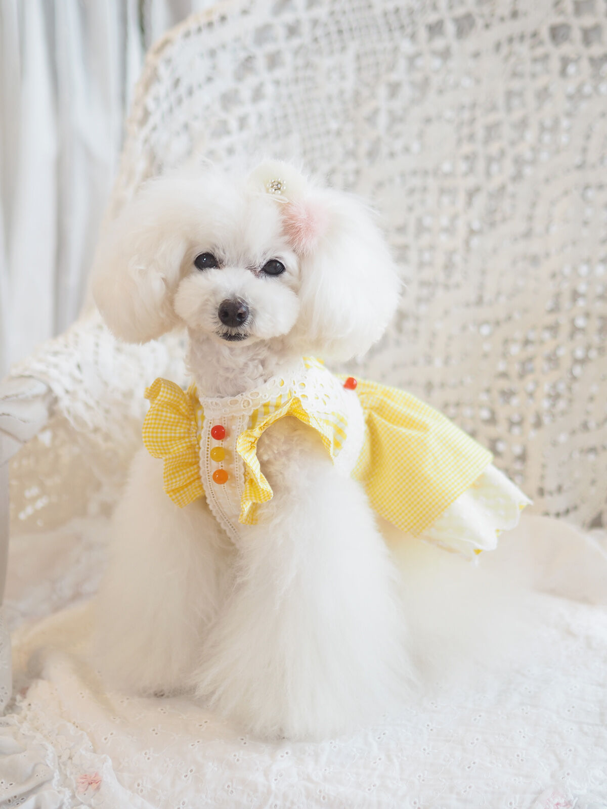 ワンピース herlipto LeMonceauLakeDress ワンピース herlipto LeMonceauLakeDress Lace Trimmed Jacquard Dress