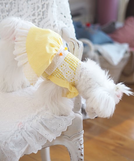 ＊ラスト1枚XSサイズ＊【Vichy】Lemon Drop Dress（レモンドロップドレス）