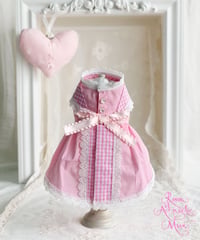 ☆ラスト1点☆【Picnic of Marie Antoinette】Sweet Vichy Dress (スィートヴィシードレス）pink （ピンク）Mサイズ