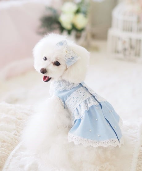 【 Picnic of Marie Antoinette】XSサイズ/Robe en jean （ローブアンジーン）　ピンク/ブルー