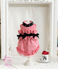 【Vichy】Vichy Rouge Dress （ヴィシルージュドレス）XSサイズ