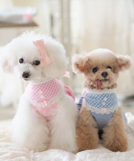 【Picnic of Marie Antoinette】Sweet Vichy Dress (スィートヴィシードレス）Pink（ピンク） XSサイズ・Sサイズ