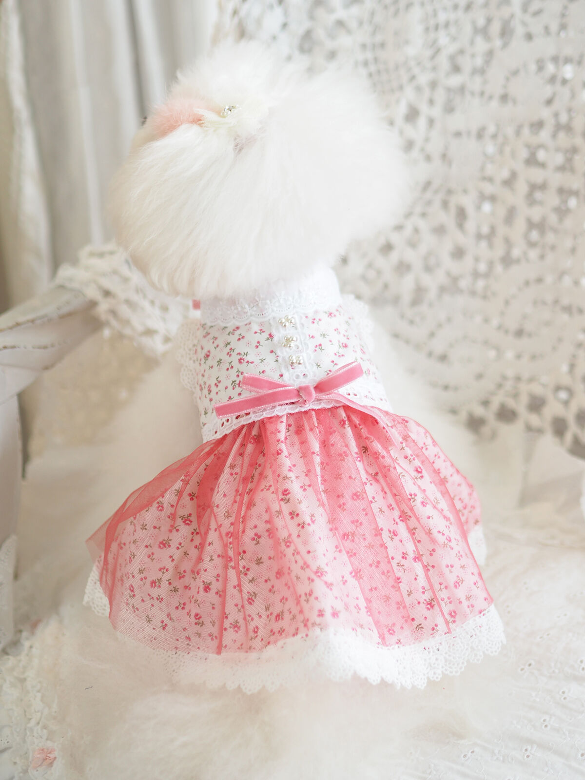 Harrods ハロッズチェリーベア　さくらんぼのドレス ハロッズ・フローラルベア2012「チェリー」 3月1日発売開始