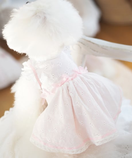 ☆ラスト1枚ずつ☆【Picnic of Marie Antoinette】　Candy Sweet Dress （キャンディスィートドレス）XSサイズ・Sサイズ