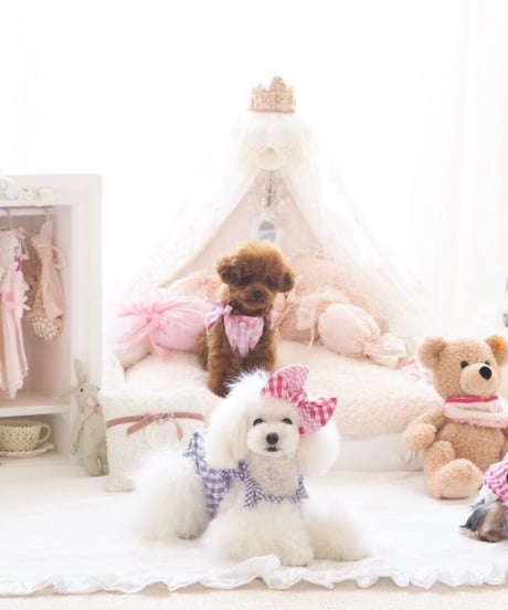 【 Petit closet】プティクローゼット　※海外発送不可※