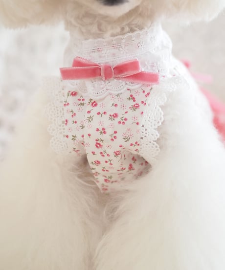 ※小さめSサイズ※【Party Fairies】Cherry and roses Dress （チェリーアンドローズドレス）Sサイズ