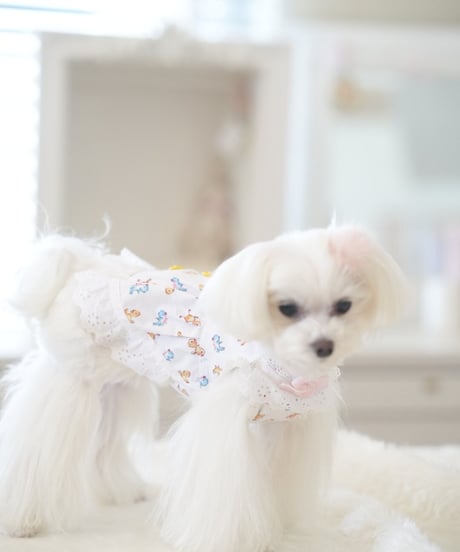 ☆ラスト1枚ずつ【Chambre】Mon Poussin Dress  Blanc（モン プサン ドレス ブラン）