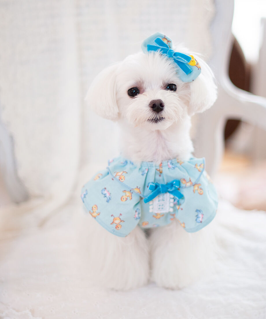 Kukuhime様SALEhandmade♡♡もふもふわんちゃんバレッタブルー②