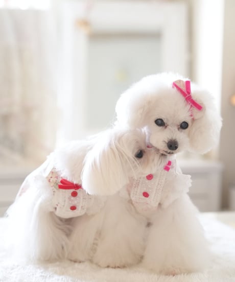【Botanical Love】Sweet Peas & Rosie Dress　（スィートピー&ロージィードレス）