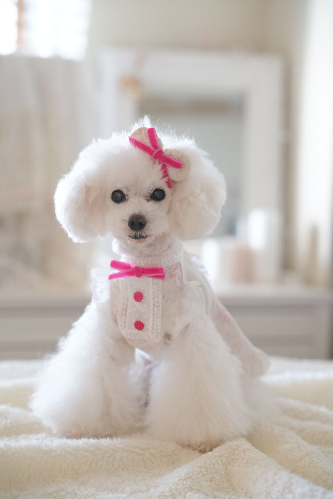 ☆Sサイズのみ☆【Botanical Love】Powder Pink Rosie Dre