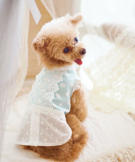※ラスト1枚※【 AngelicMoon Chambre】Lovely Cloudy Boys（ラブリークラウディボーイズ）　XS サイズ