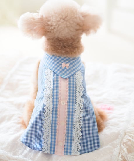 【Picnic of Marie Antoinette】Sweet Vichy blouse(スィートヴィシーブラウス）XSサイズ/Sサイズ