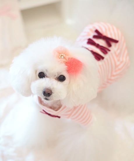 XS / S /Mサイズ【 AngelicMoon Chambre】『Mariniere bebe（マリニエールべべ）PINK』