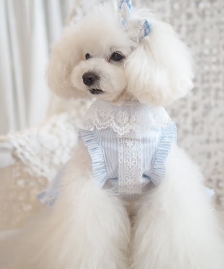 ☆Sサイズラスト1点☆【Picnic of Marie Antoinette】Lovely Stripe Dress （ラブリーストライプドレス）Sサイズ
