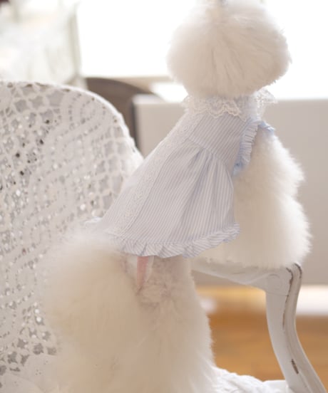 ☆Sサイズラスト1点☆【Picnic of Marie Antoinette】Lovely Stripe Dress （ラブリーストライプドレス）Sサイズ