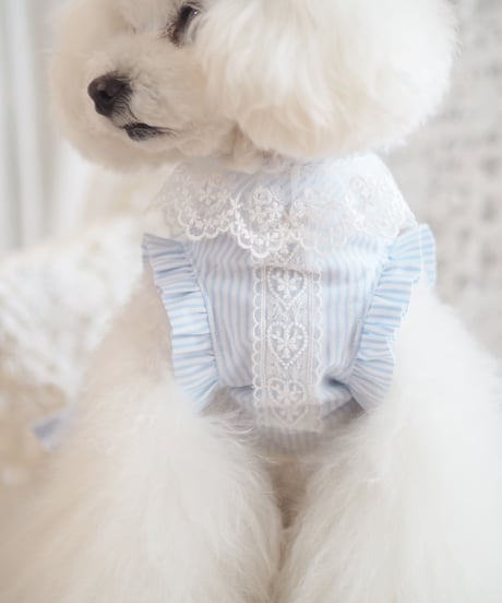 ☆Sサイズラスト1点☆【Picnic of Marie Antoinette】Lovely Stripe Dress （ラブリーストライプドレス）Sサイズ