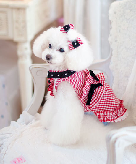 【Vichy】Vichy Rouge  Barrette （ヴィシルージュバレッタ）