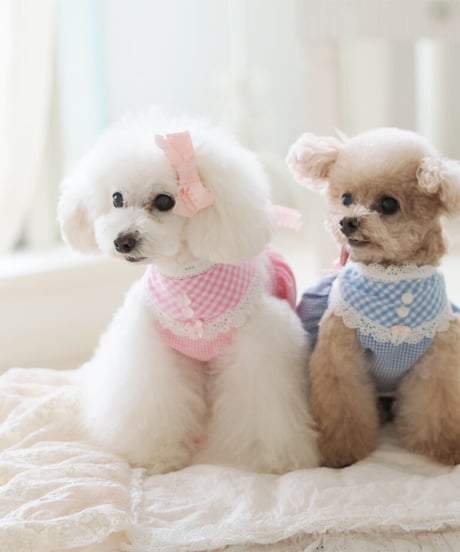 ☆ラスト1点☆【Picnic of Marie Antoinette】Sweet Vichy Dress (スィートヴィシードレス）pink （ピンク）Mサイズ