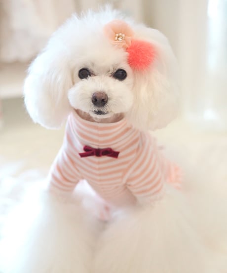 XS / S /Mサイズ【 AngelicMoon Chambre】『Mariniere bebe（マリニエールべべ）PINK』