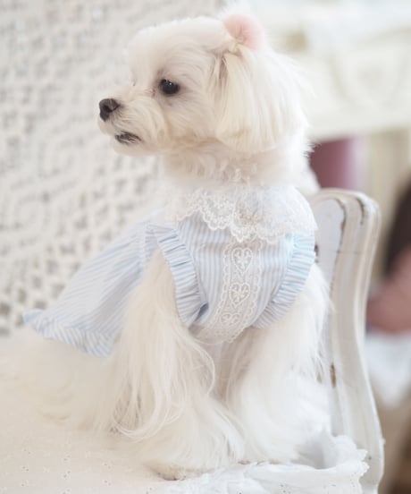 ☆Sサイズラスト1点☆【Picnic of Marie Antoinette】Lovely Stripe Dress （ラブリーストライプドレス）Sサイズ