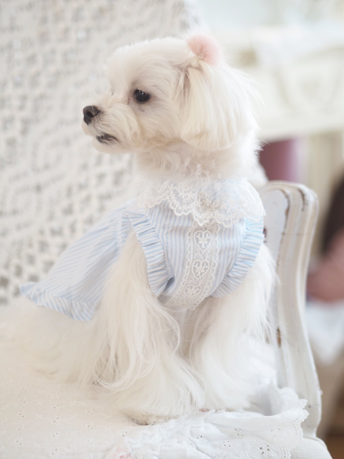 Picnic of Marie Antoinette】Lovely Stripe Dress...