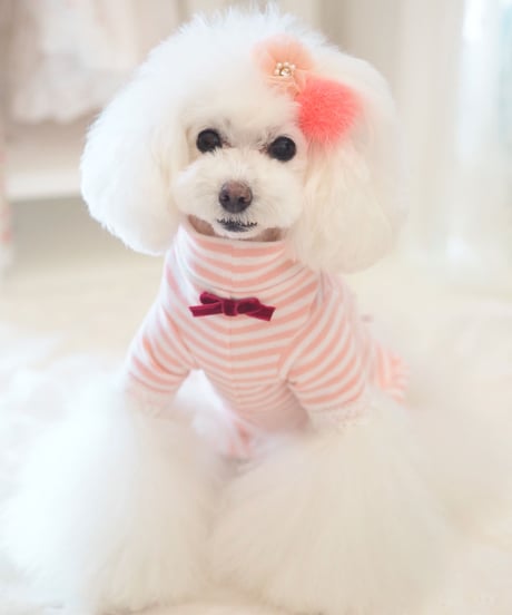 XS / S /Mサイズ【 AngelicMoon Chambre】『Mariniere bebe（マリニエールべべ）PINK』