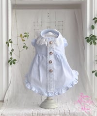 ☆Sサイズラスト1点☆【Picnic of Marie Antoinette】Lovely Stripe Dress （ラブリーストライプドレス）Sサイズ