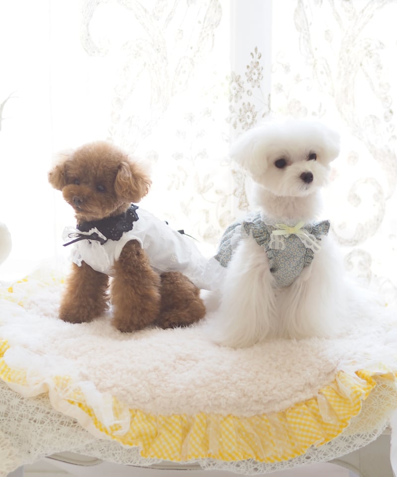 リトルラバブル Little Lovables チェスト 昭和レトロ 当時物