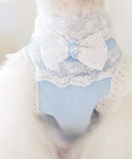 【 Picnic of Marie Antoinette】XSサイズ/Robe en jean （ローブアンジーン）　ピンク/ブルー