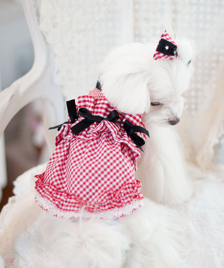 【Vichy】Vichy Rouge Dress （ヴィシルージュドレス）XSサイズ