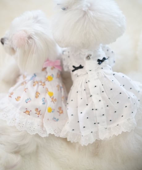 ☆ラスト1枚ずつ【Chambre】Mon Poussin Dress  Blanc（モン プサン ドレス ブラン）
