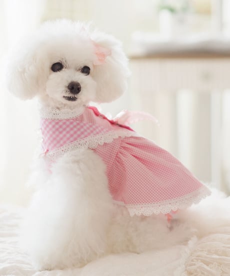 【Picnic of Marie Antoinette】Sweet Vichy Dress (スィートヴィシードレス）Pink（ピンク） XSサイズ・Sサイズ
