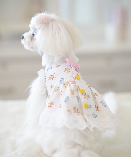 ☆ラスト1枚ずつ【Chambre】Mon Poussin Dress  Blanc（モン プサン ドレス ブラン）