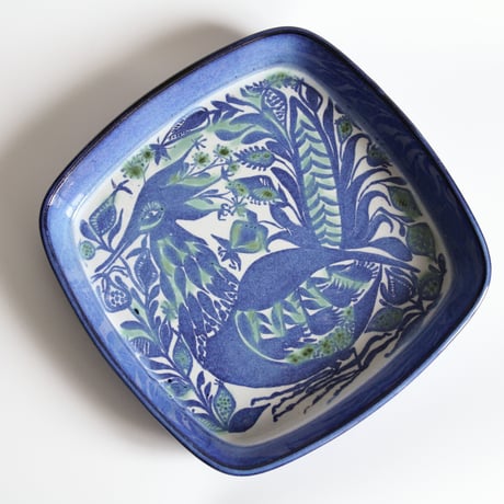 CATEGORY TENERA | ZUGVÖGEL