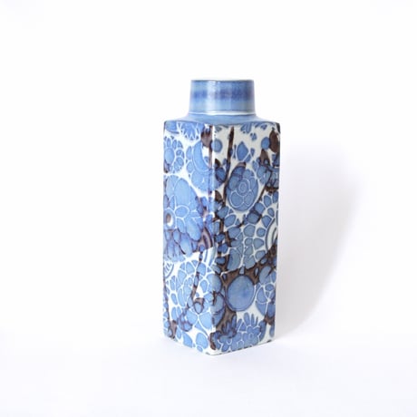 CATEGORY BACA | ZUGVÖGEL