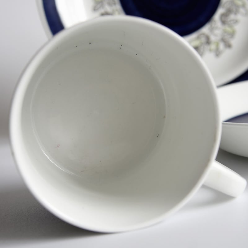 Rörstrand/Viktoria(ロールストランド/ビクトリア) カップソーサー