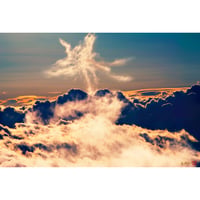 ＜フォトアクリル＞飛翔する光雲鳳凰（Mサイズ）