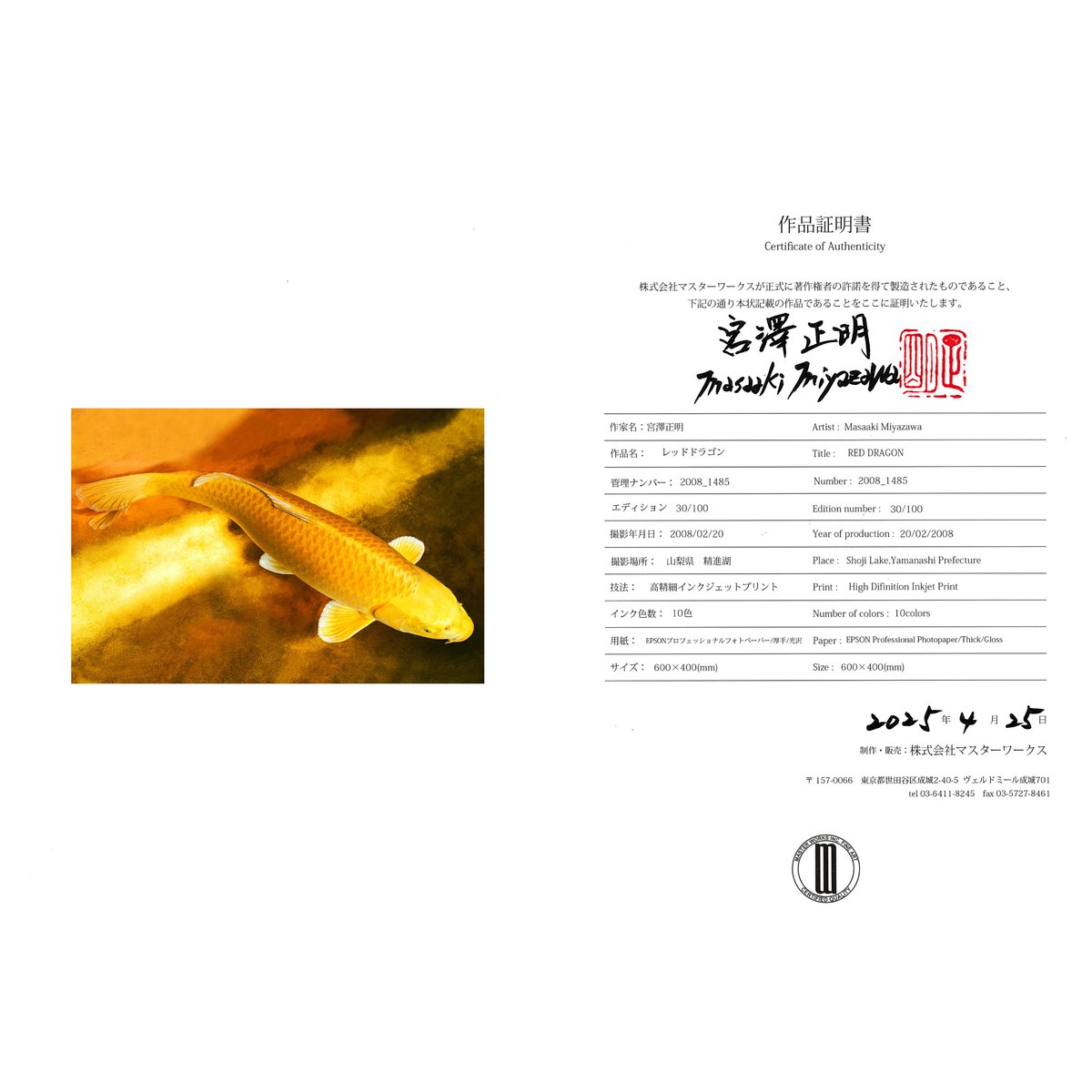 フォトアクリル＞「黄金の錦鯉」（Lサイズ） | Masaaki Miyazawa・宮澤