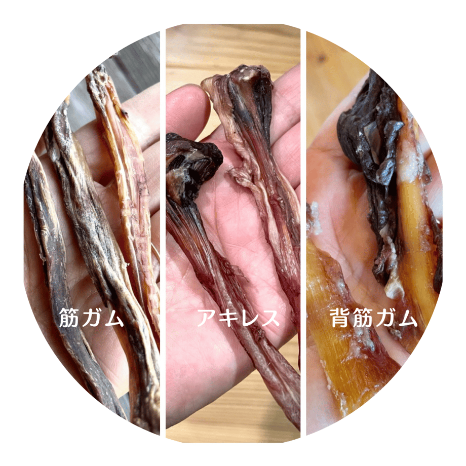 606127d51e746b69dbf8908e
