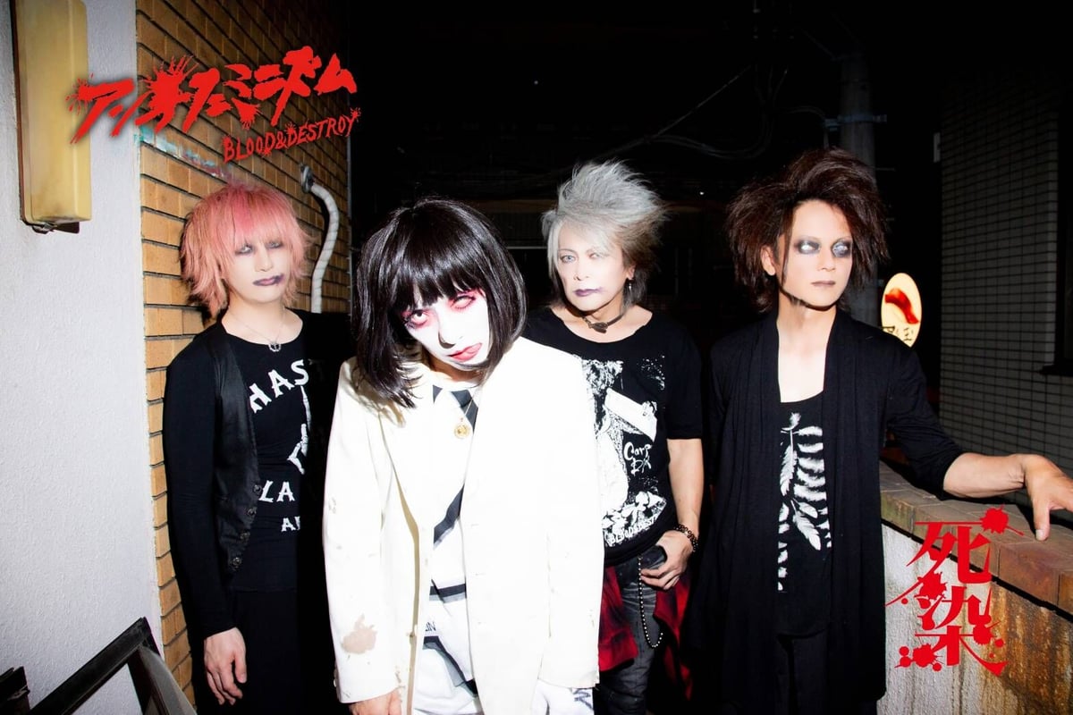 アンチフェミニズム　DVD 2枚　配布CD2 fit=scale-down,w=1200