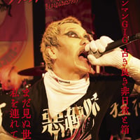 THE DEAD P☆P STARS ／ DVD | KENZI SHOP Wicket